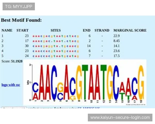 小比分波胆预测法品牌入口下载评测防骗避坑指南